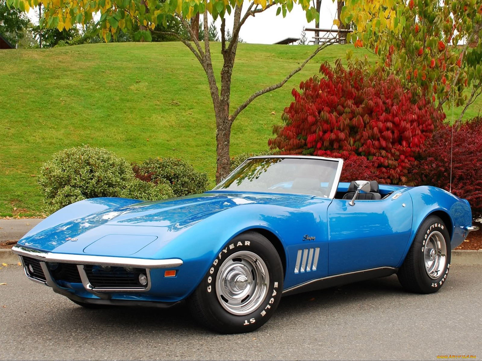 , corvette